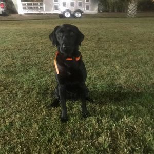 Meet your Posher, Danny